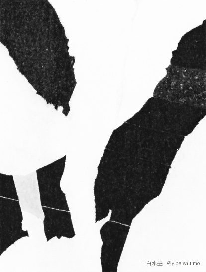 Le Dalmatien, 2026 — Encre sur papier