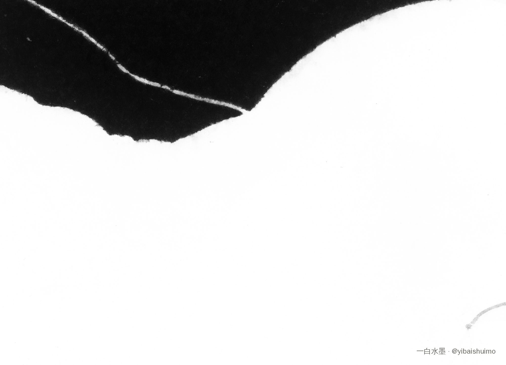 Détail : une masse noire et une large réserve blanche